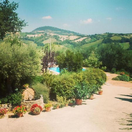 Casale Il Cerqueto Bed & Breakfast ซาน เซเวริโน มาร์เค ห้อง รูปภาพ