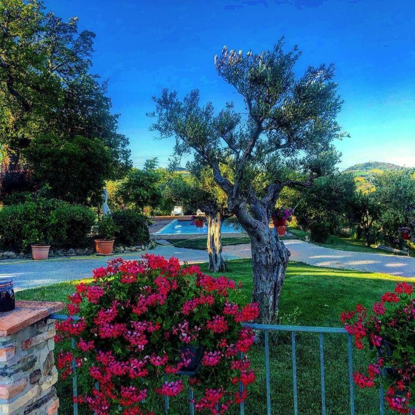 Casale Il Cerqueto Bed & Breakfast ซาน เซเวริโน มาร์เค ภายนอก รูปภาพ