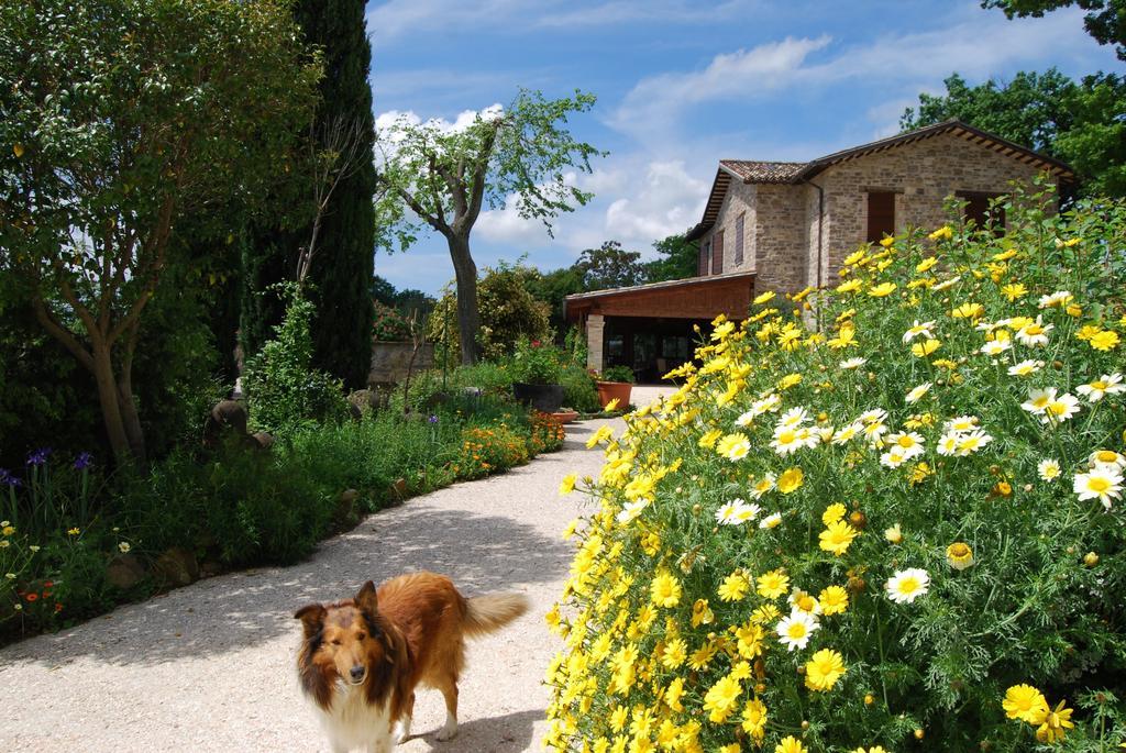Casale Il Cerqueto Bed & Breakfast ซาน เซเวริโน มาร์เค ภายนอก รูปภาพ