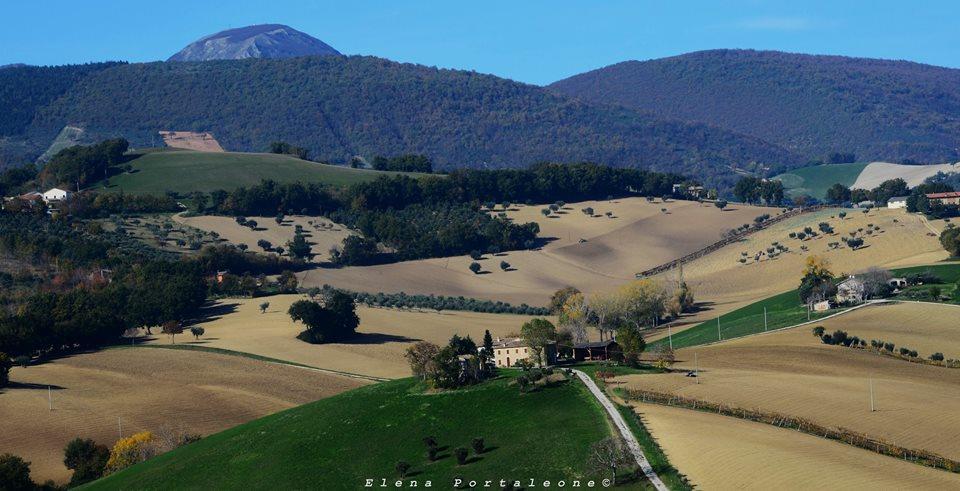 Casale Il Cerqueto Bed & Breakfast ซาน เซเวริโน มาร์เค ภายนอก รูปภาพ