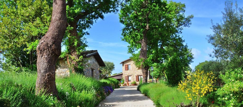 Casale Il Cerqueto Bed & Breakfast ซาน เซเวริโน มาร์เค ภายนอก รูปภาพ