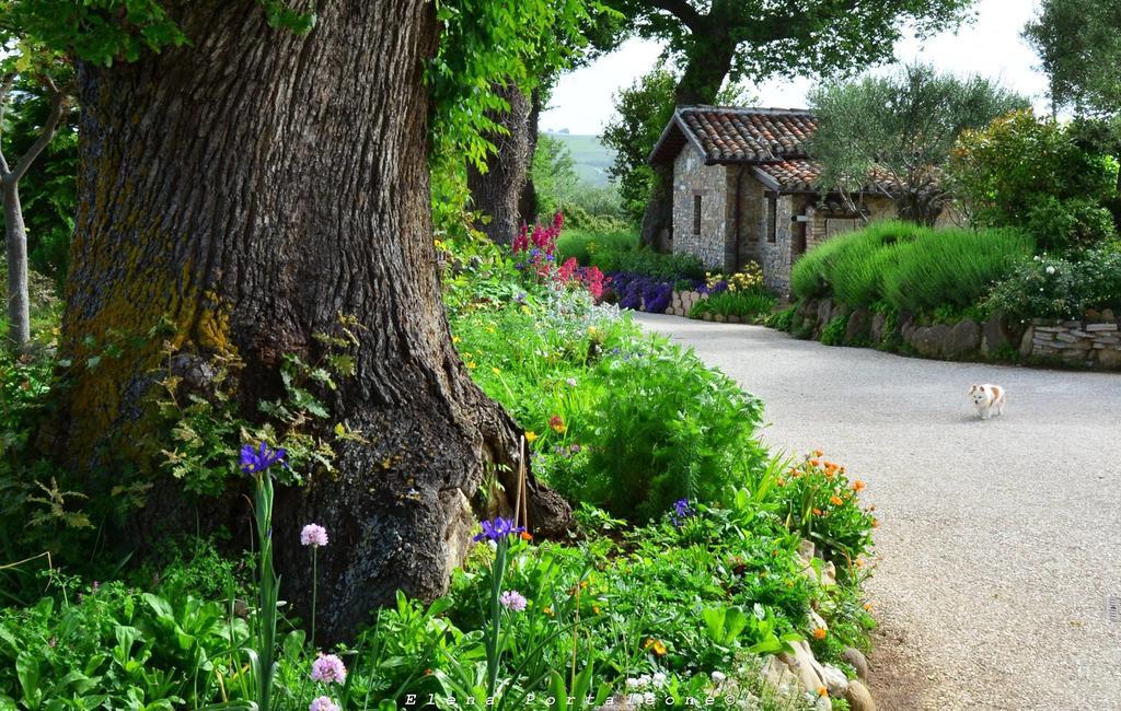 Casale Il Cerqueto Bed & Breakfast ซาน เซเวริโน มาร์เค ภายนอก รูปภาพ