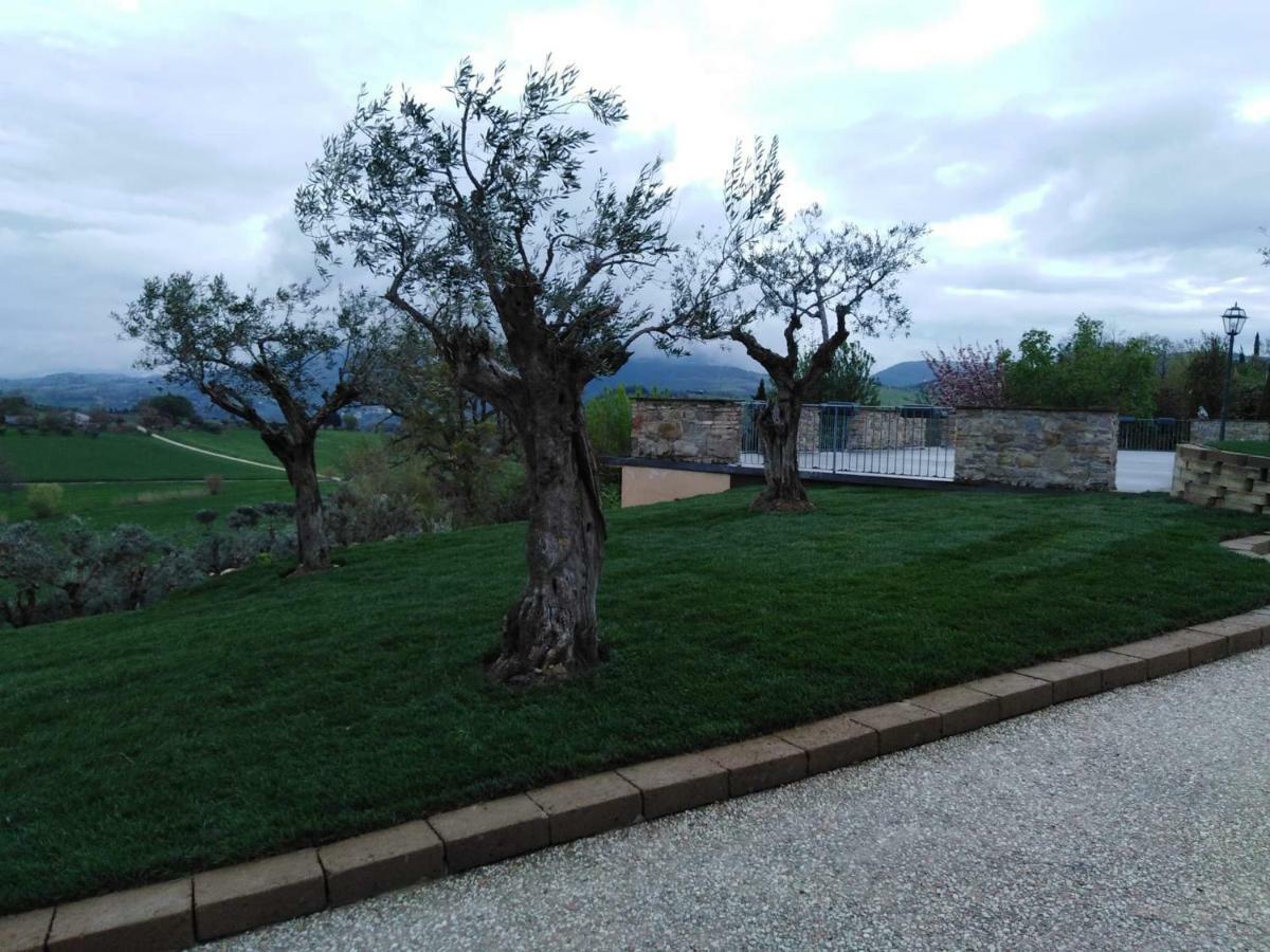 Casale Il Cerqueto Bed & Breakfast ซาน เซเวริโน มาร์เค ภายนอก รูปภาพ